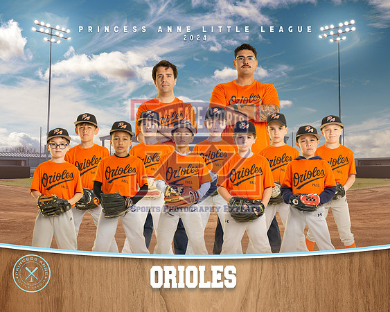 MINOR ORIOLES