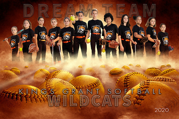 WIldcatBanner10x15