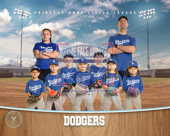 TBALL DODGERS