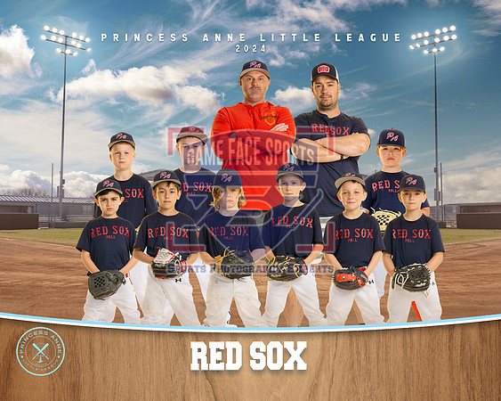 MINOR REDSOX FARM