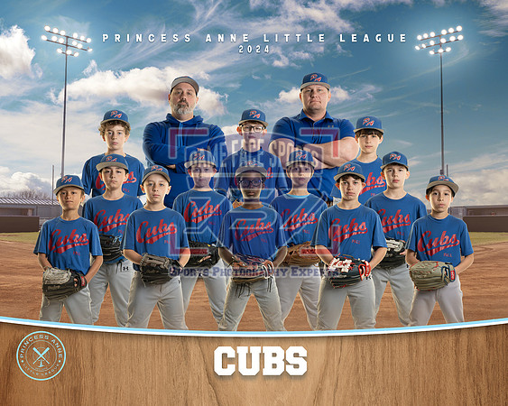 MINOR CUBS1