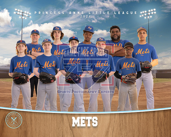 SR METS