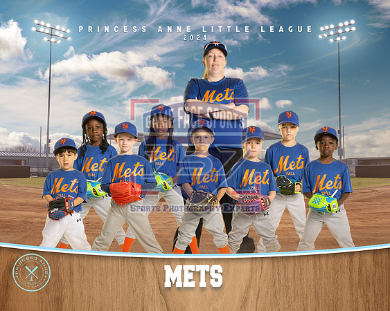 TBALL METS