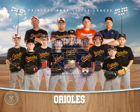 MAJOR ORIOLES