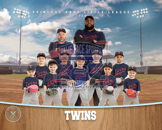 TBALL TWINS