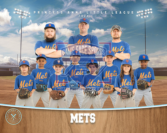 CP METS