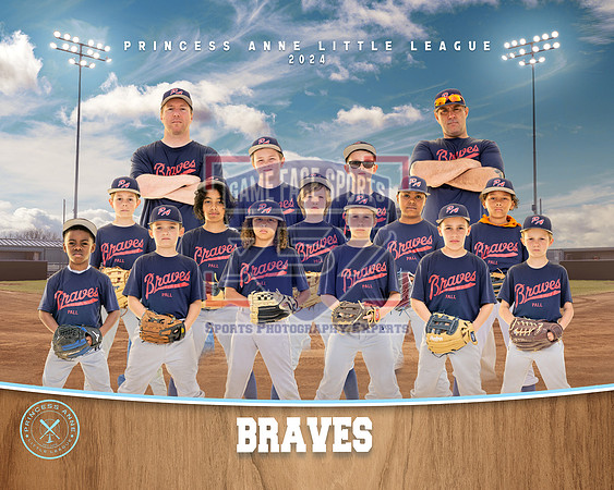 MINOR BRAVES