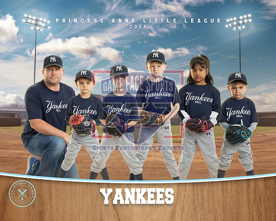 TBALL YANKEES