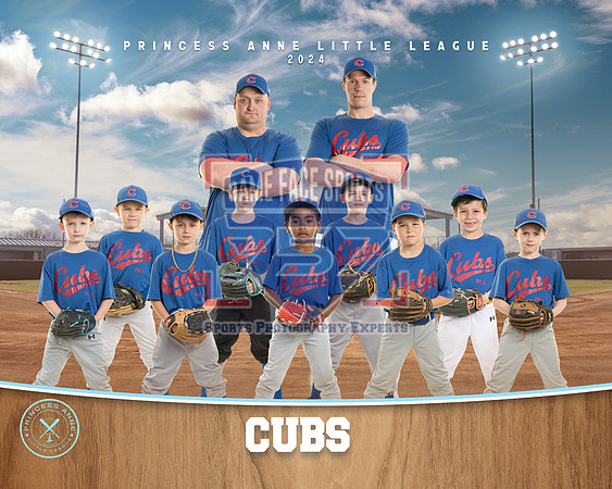 CP CUBS2