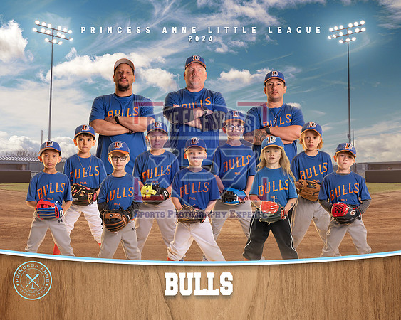CP BULLS