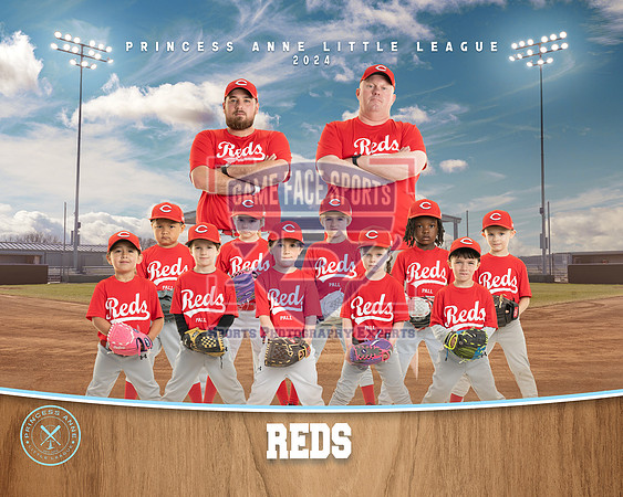 TBALL REDS