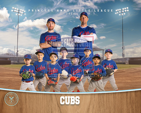 TBALL CUBS